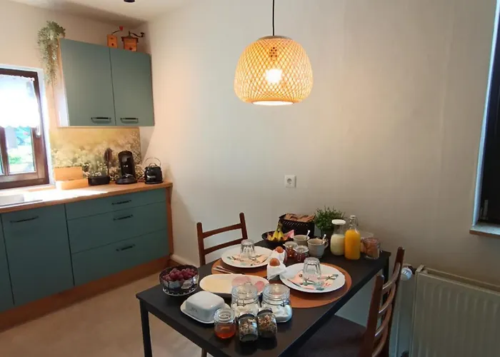 Minicamping Und Hintergarten Konukevi